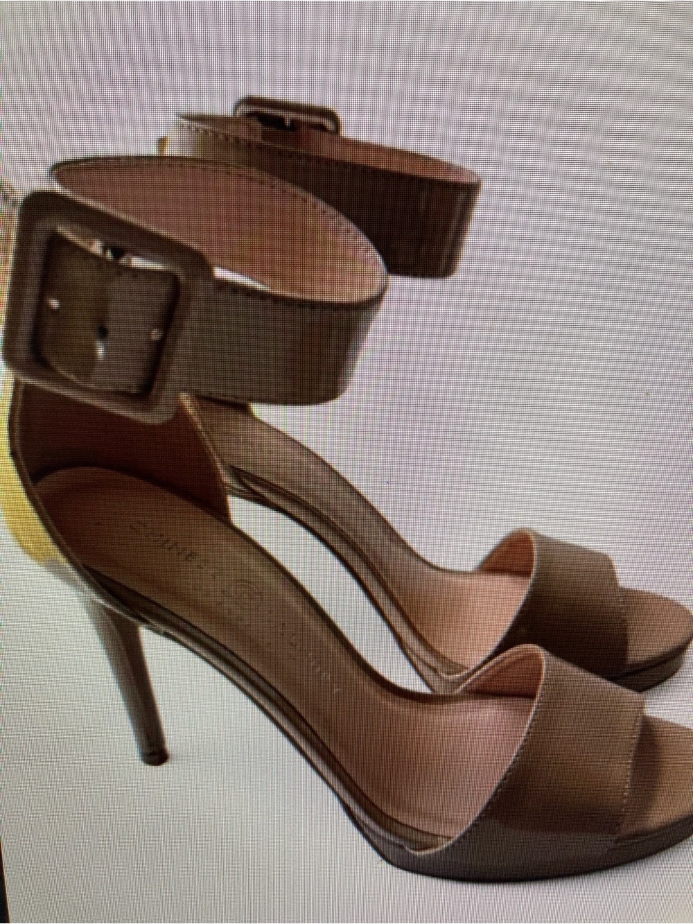 Ankle-Strap High Heel Sandals in Taupe